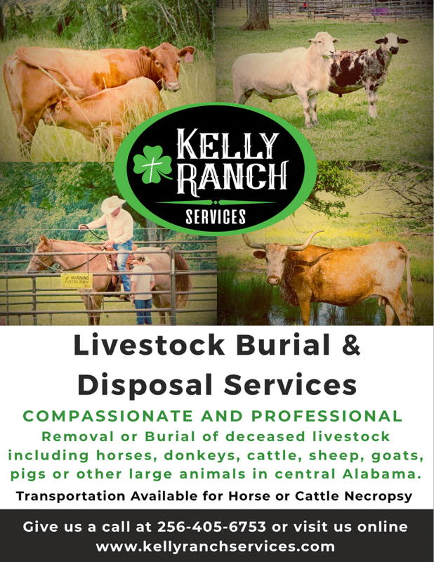 Kelly Ranch Services